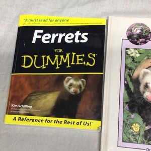 Ferrets for Dummies Book - Black and Yellow Cover